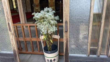 秋の七草寺めぐり