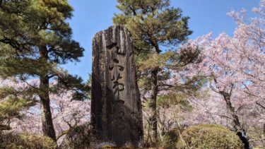 高遠城址公園の桜