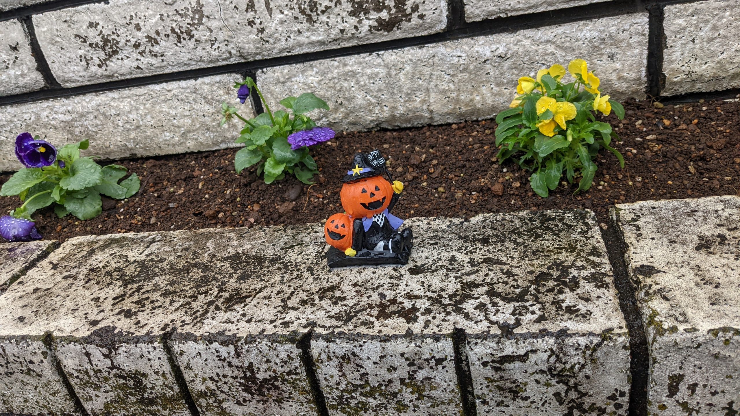 上安松バス停のハロウィンちゃん