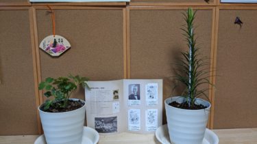 牧野富太郎博士の記念乗車券