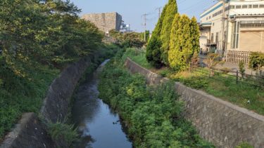 新日比田橋からの東川