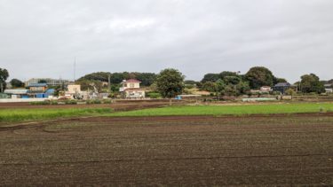散歩途中のお気に入りの風景