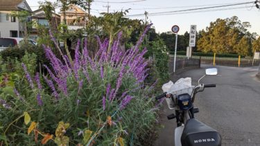 セージとバイク