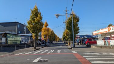 イチョウ尽くし