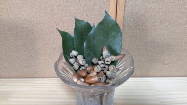 テレビ再配送のお願い