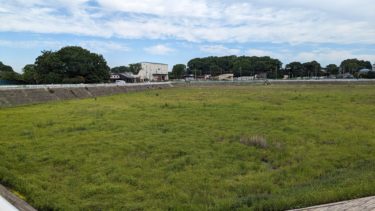 五月の日比田調節池