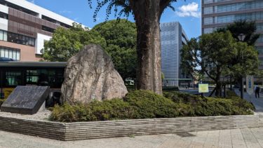 所沢駅東口のロータリー