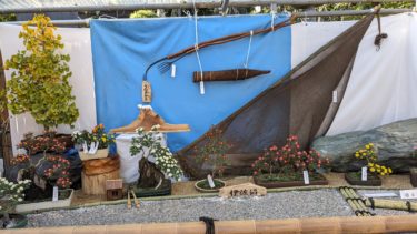 小江戸 川越菊まつり