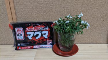 ありがとうマグマ