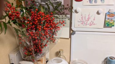 昨日買った南天の切り花