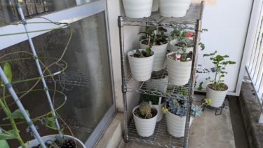 ベランダがすっきりしました