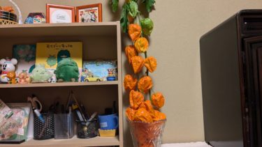 鬼灯を買いました