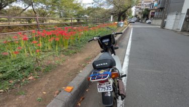 バイクと彼岸花通り
