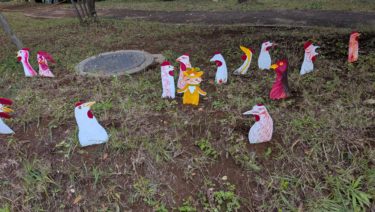 トコちゃんとニワトリ