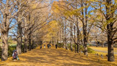 黄色の道 <四コマ漫画>