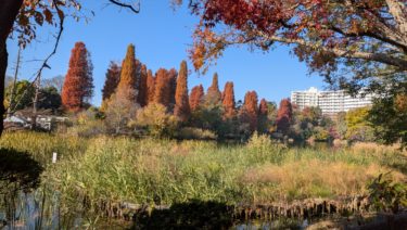 井の頭恩賜公園 <四コマ漫画>