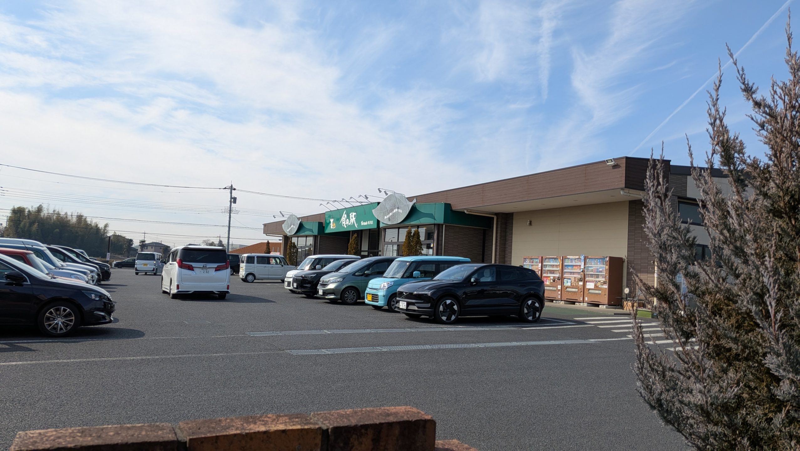 食の駅での購入品