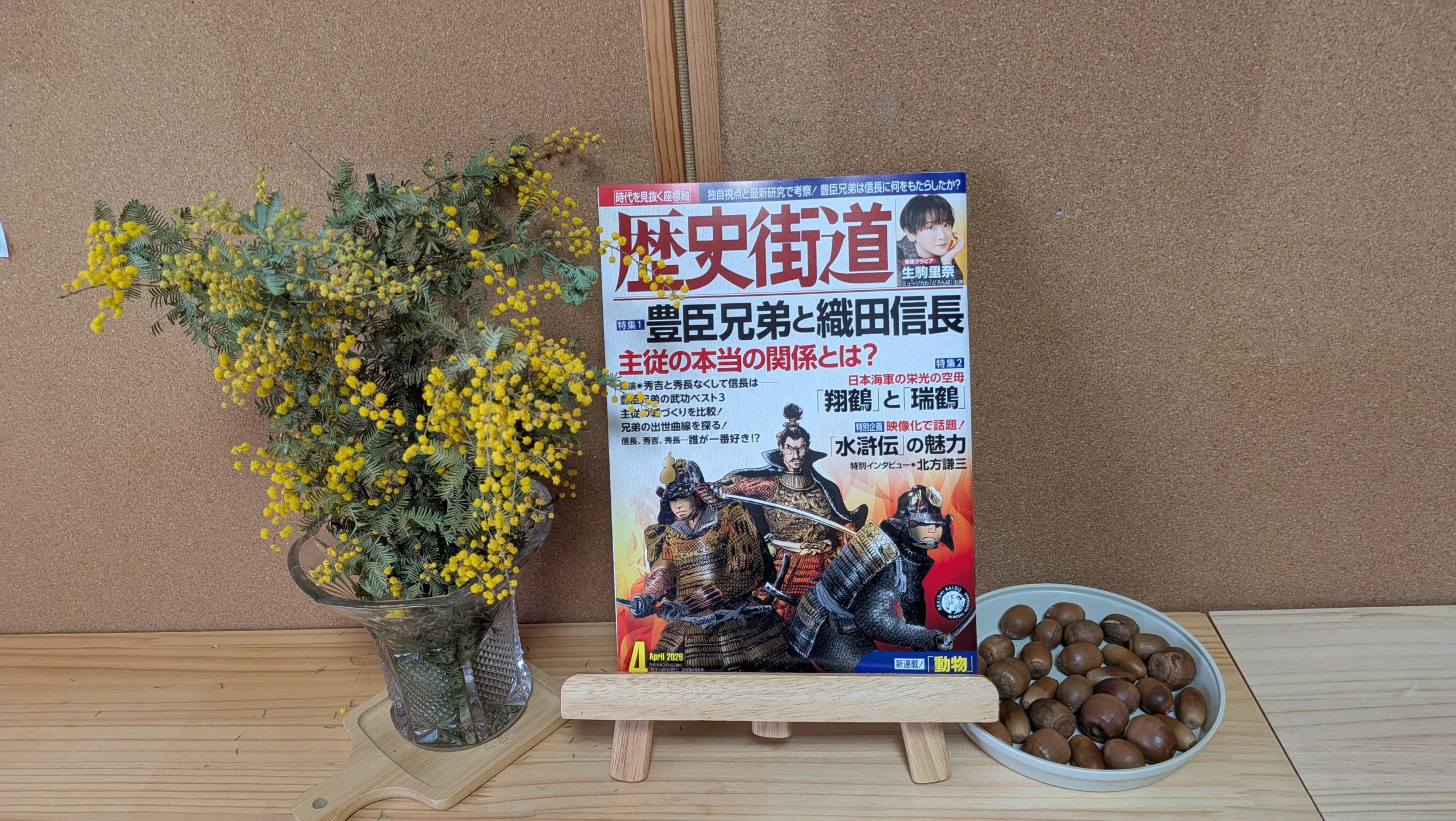 歴史街道『豊臣兄弟と織田信長』の表紙と、お飾りのミモザとどんぐり